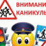 Итоги операции "Каникулы" - Yugs.Ru
