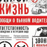 Управлять автомобилем в нетрезвом виде - преступление! - Yugs.Ru