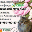 Поможем бездомным животным вместе! - Yugs.Ru