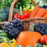 Качество и безопасность плодоовощной продукции - Администрация города Юрга