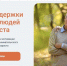 Кузбассовцы «серебряного» возраста могут обучиться секретам успешного бизнеса - Юргинский муниципальный округ