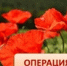 Оперативно-профилактическое мероприятие "МАК": выявить, пресечь, привлечь к ответственности - Yugs.Ru